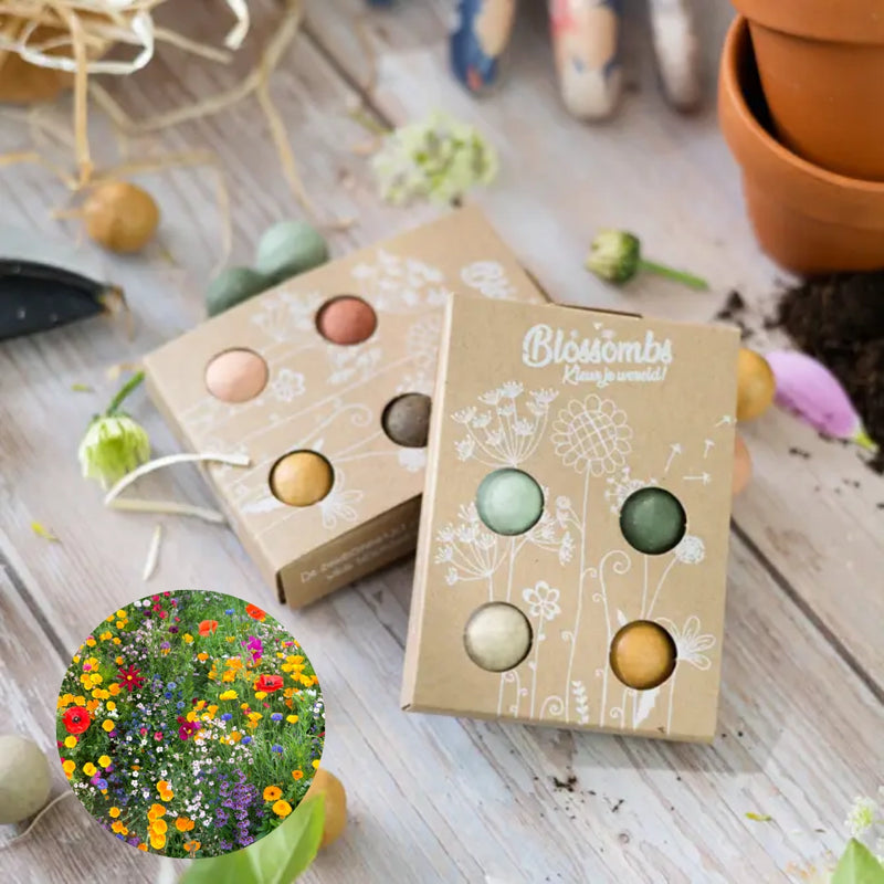 Merry Christmas Blossombs Mini Box