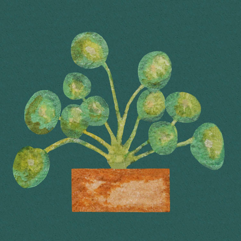 Mini 1" Pilea Peperomioides Houseplant Tiny Art Print