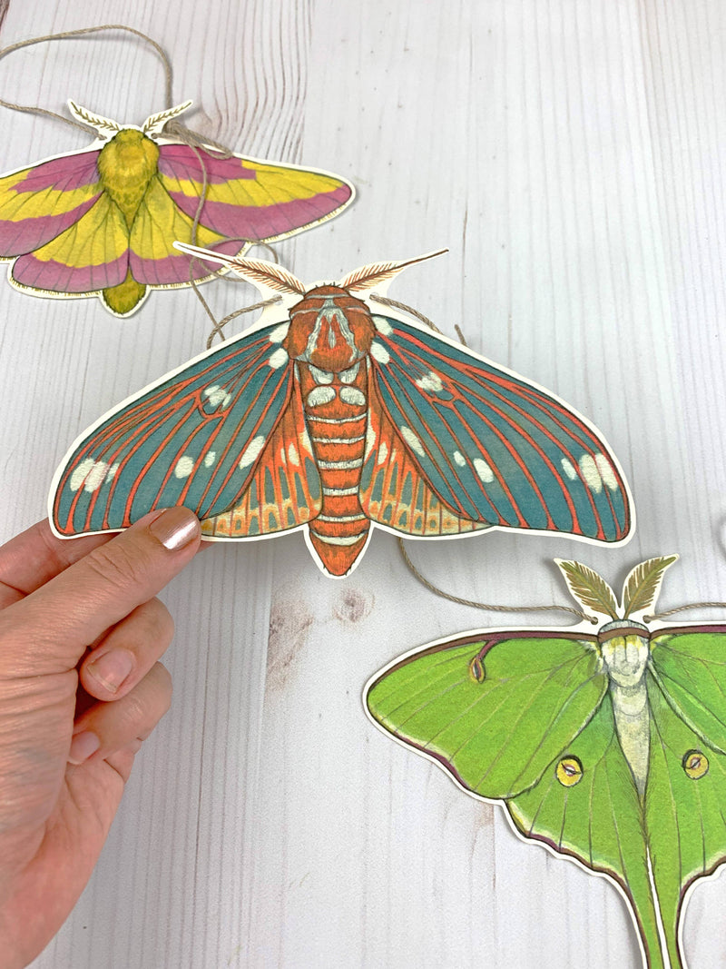 Colorful Moth Illustrated 5-Foot Garland