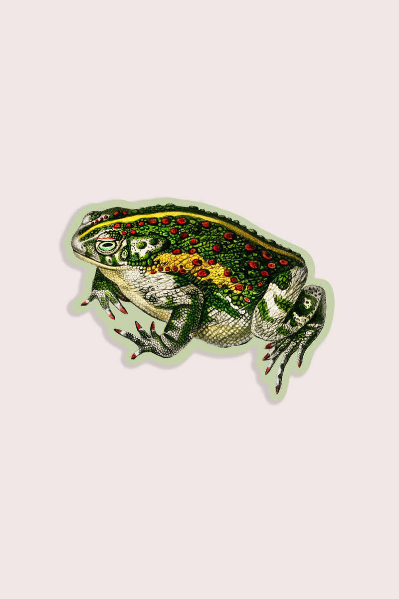 Tricky Toad Gap Filler Sticker