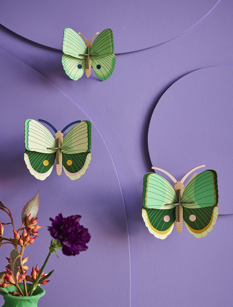 Fern Striped Butterflies (Set of 3)