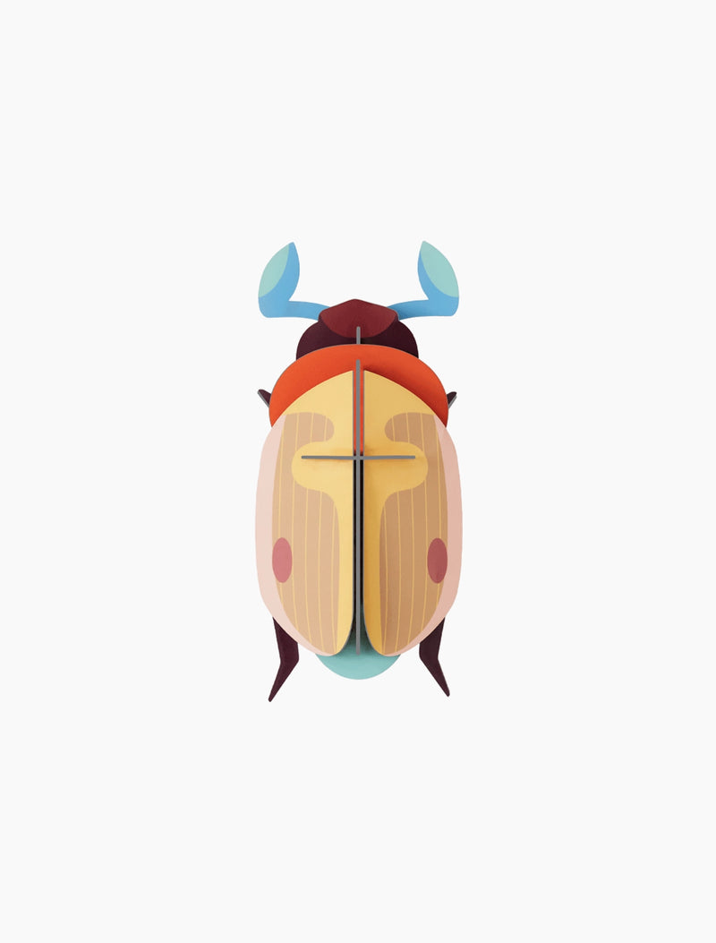 Lemon Fruit Beetle