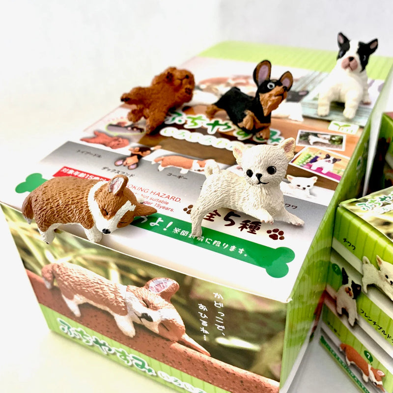 Playful Hanging Dog Blind Box