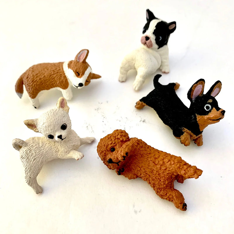 Playful Hanging Dog Blind Box