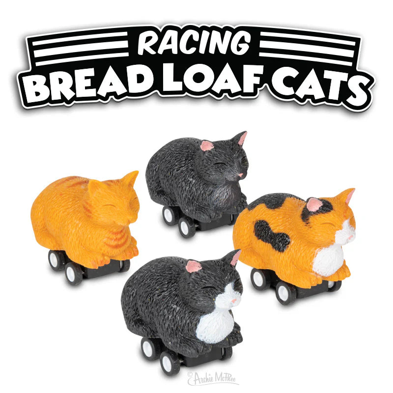 Racing Bread Loaf Cats (Assorted)