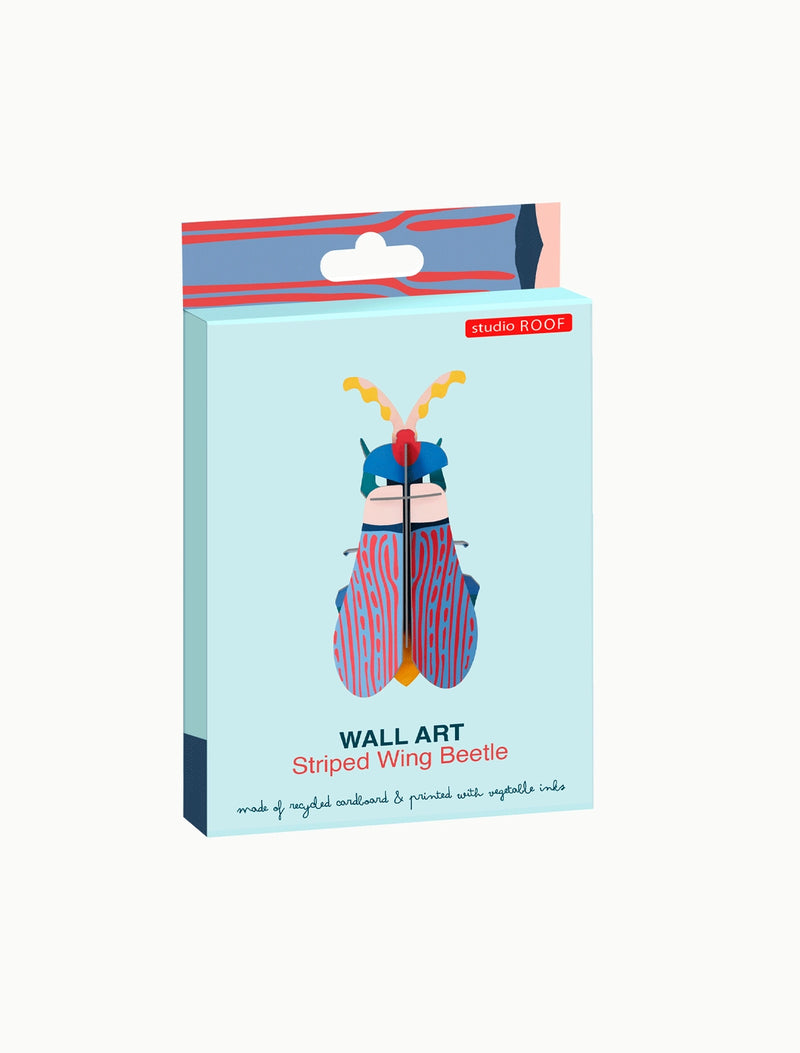 Striped Winged Beetle