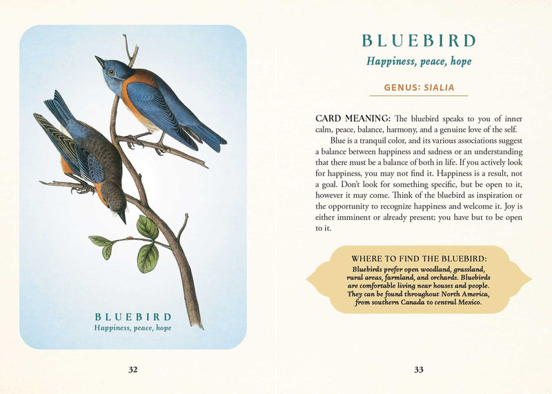 The Spiritual Meaning of Birds Oracle Deck