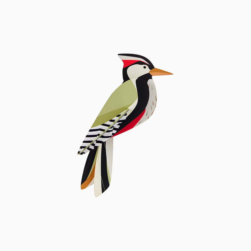 Woodpecker