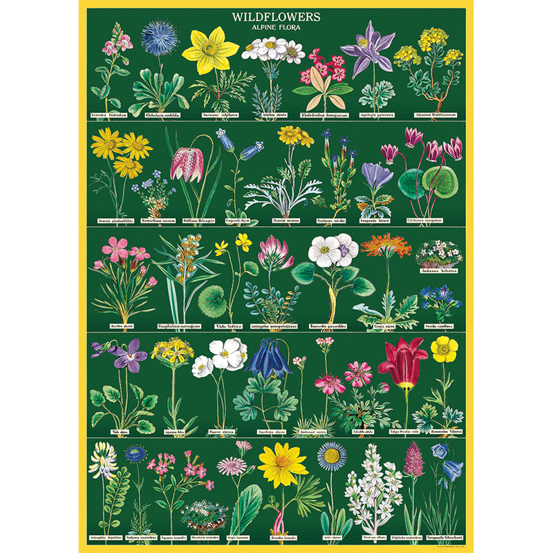 Wildflowers Alpine Flora Poster