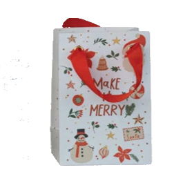 Recycled Paper Holiday Sayings Gift Bag