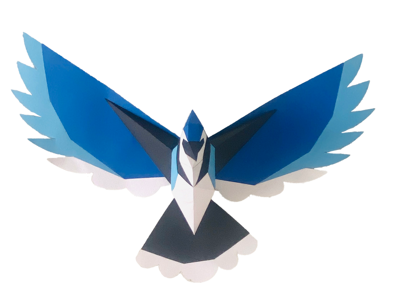 Blue Jay in Flight 3D Paper Craft Kit
