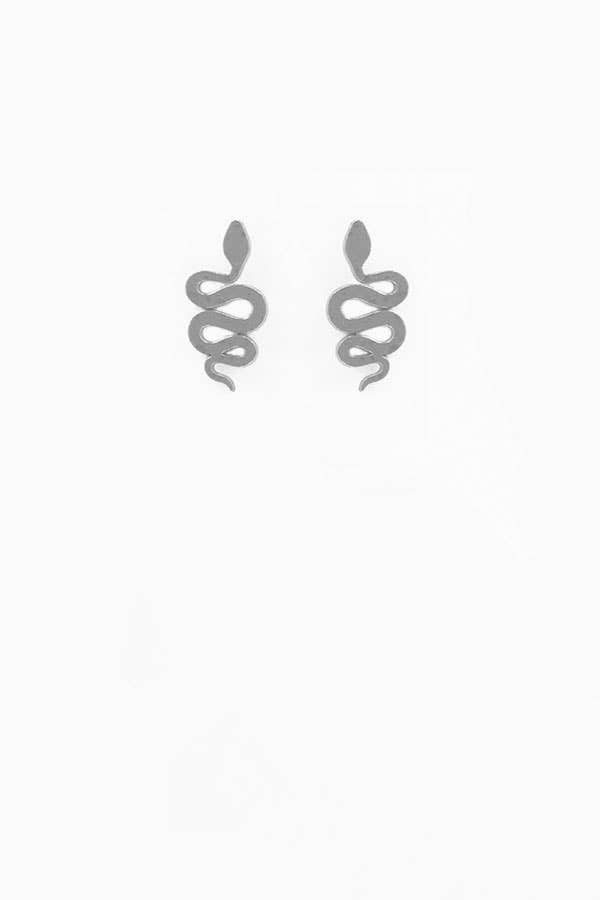 Sidewinder Posts Silver Earrings