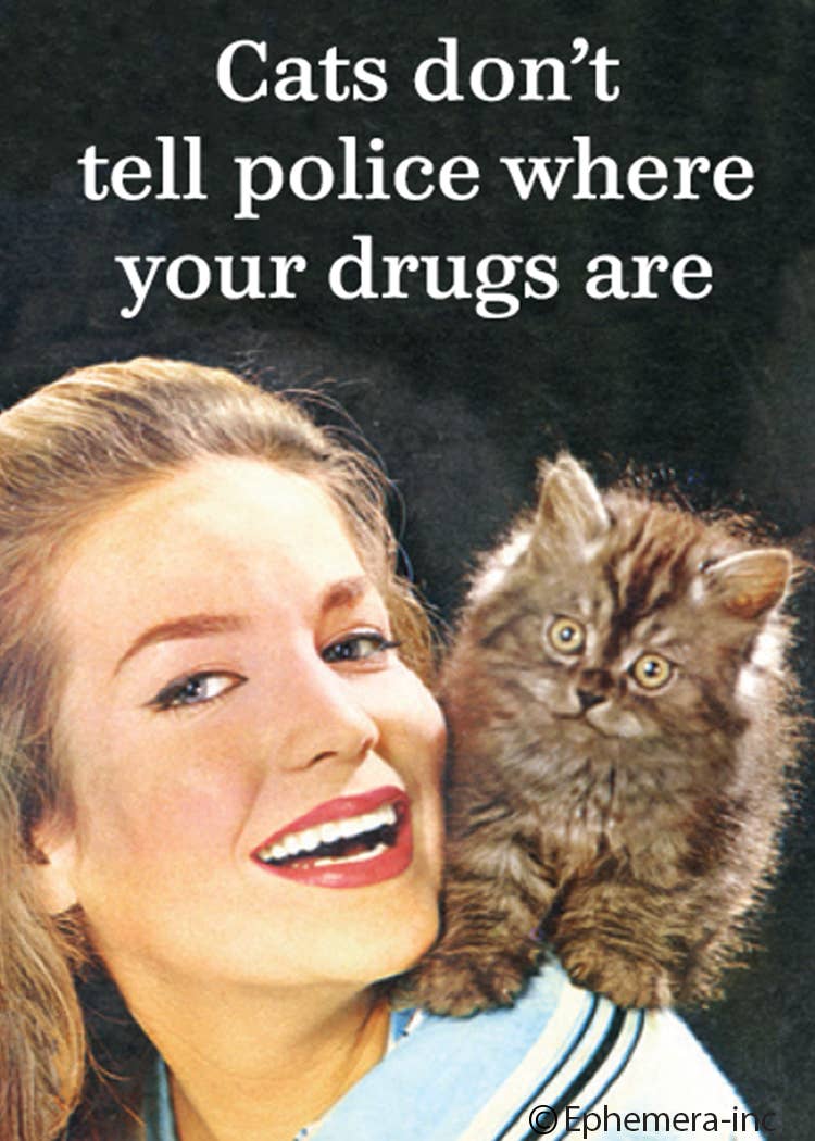 Cats Don&
