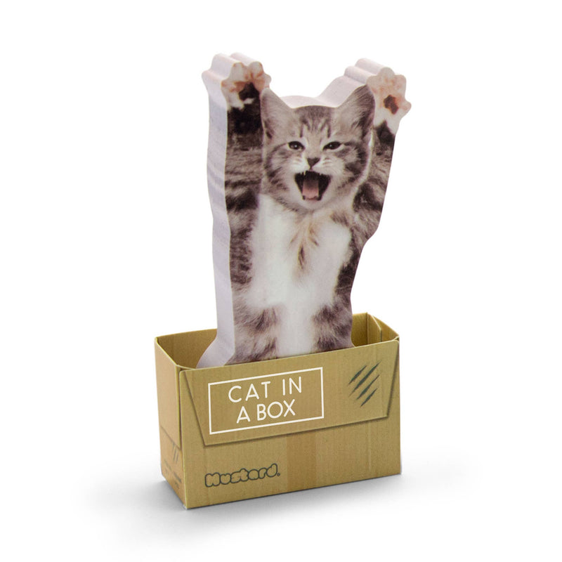 Cat In A Box Sticky Notes