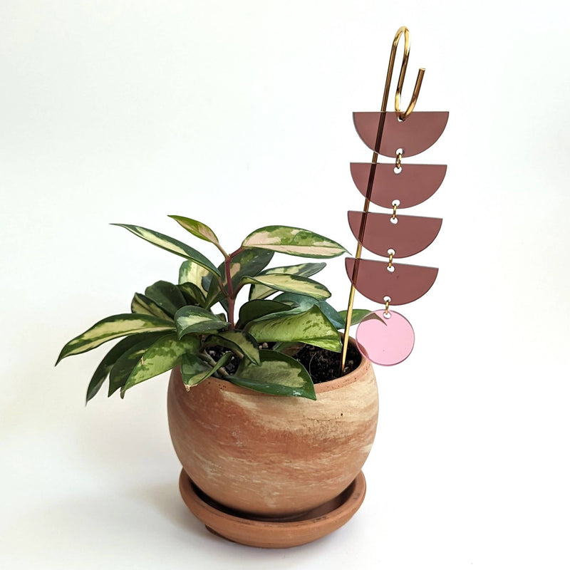 Mauve + Pink Sunrise Plant Pick