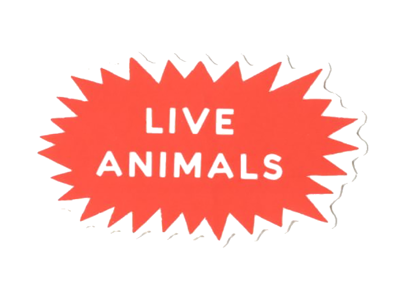 Live Animals Sticker