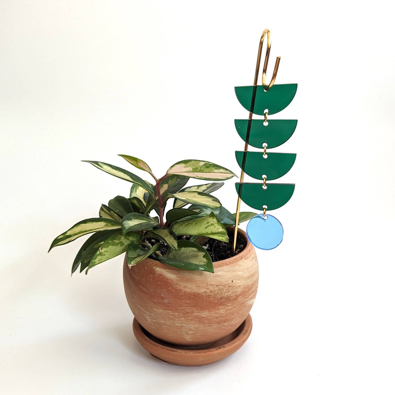 Green + Blue Sunrise Plant Pick
