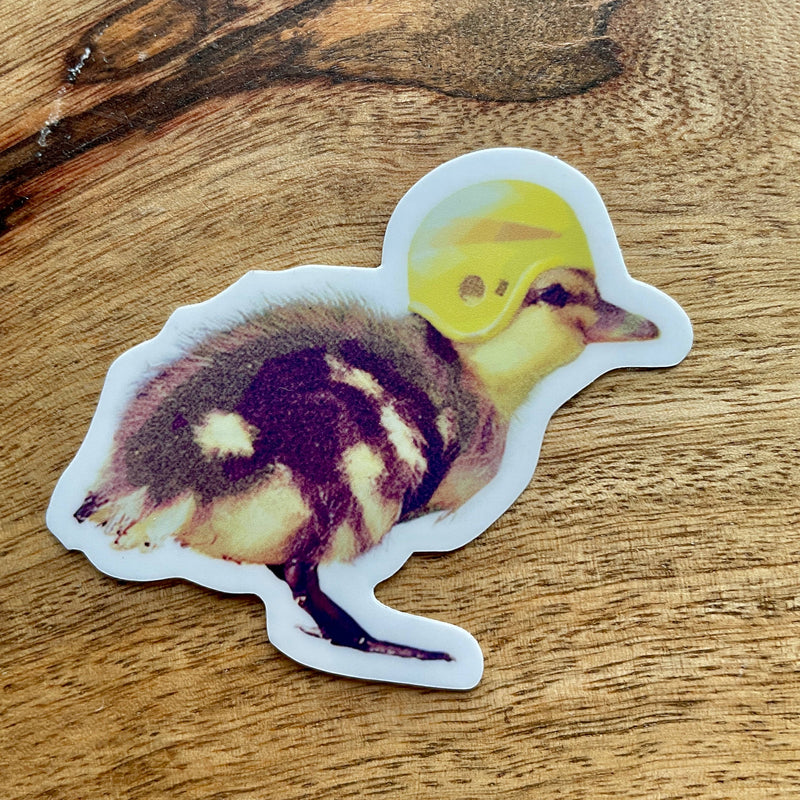 Duckling Wearing Helmet Sticker