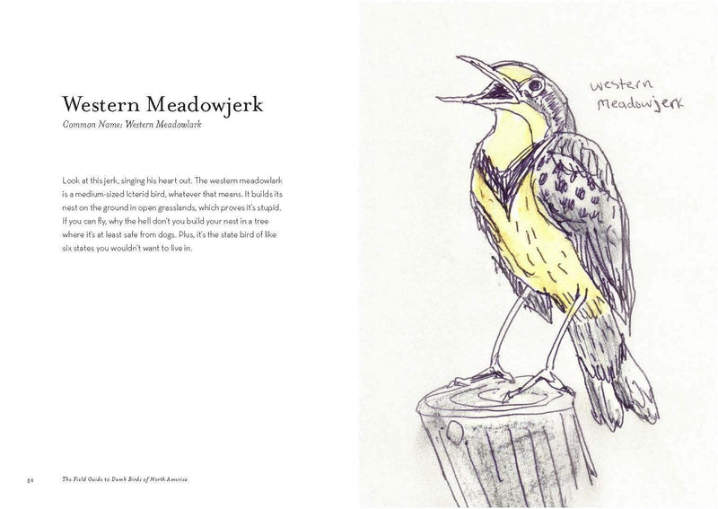 Field Guide to Dumb Birds of North America